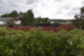 Beeldnr : 23 van 24
Naam : jj8a4286.jpg
Folder : fotos/jaren-201x/2019-2/denemarken/10-aug/
Formaat : 1200 x 800px
Thumb : 120 x 80px
Richting : Landschap
Bloknr : 1 van 1
Beeldnrs : 1 tm 24
Beelden in blok : 24