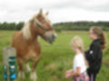 Beeldnr : 1 van 59
Naam : aj8b2502.jpg
Folder : fotos/jaren-201x/2019-2/denemarken/11-aug/
Formaat : 1200 x 900px
Thumb : 120 x 90px
Richting : Landschap
Bloknr : 1 van 2
Beeldnrs : 1 tm 50
Beelden in blok : 50