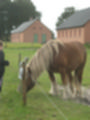 Beeldnr : 2 van 59
Naam : aj8b2503.jpg
Folder : fotos/jaren-201x/2019-2/denemarken/11-aug/
Formaat : 900 x 1200px
Thumb : 90 x 120px
Richting : Portret
Bloknr : 1 van 2
Beeldnrs : 1 tm 50
Beelden in blok : 50