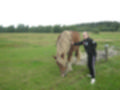 Beeldnr : 3 van 59
Naam : aj8b2504.jpg
Folder : fotos/jaren-201x/2019-2/denemarken/11-aug/
Formaat : 1200 x 900px
Thumb : 120 x 90px
Richting : Landschap
Bloknr : 1 van 2
Beeldnrs : 1 tm 50
Beelden in blok : 50