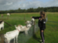 Beeldnr : 4 van 59
Naam : aj8b2505.jpg
Folder : fotos/jaren-201x/2019-2/denemarken/11-aug/
Formaat : 1200 x 900px
Thumb : 120 x 90px
Richting : Landschap
Bloknr : 1 van 2
Beeldnrs : 1 tm 50
Beelden in blok : 50