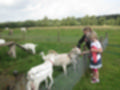 Beeldnr : 5 van 59
Naam : aj8b2506.jpg
Folder : fotos/jaren-201x/2019-2/denemarken/11-aug/
Formaat : 1200 x 900px
Thumb : 120 x 90px
Richting : Landschap
Bloknr : 1 van 2
Beeldnrs : 1 tm 50
Beelden in blok : 50