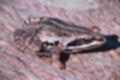Beeldnr : 17 van 59
Naam : jj8b4306.jpg
Folder : fotos/jaren-201x/2019-2/denemarken/11-aug/
Formaat : 1200 x 800px
Thumb : 120 x 80px
Richting : Landschap
Bloknr : 1 van 2
Beeldnrs : 1 tm 50
Beelden in blok : 50