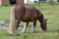 Beeldnr : 20 van 59
Naam : jj8b4310.jpg
Folder : fotos/jaren-201x/2019-2/denemarken/11-aug/
Formaat : 1200 x 800px
Thumb : 120 x 80px
Richting : Landschap
Bloknr : 1 van 2
Beeldnrs : 1 tm 50
Beelden in blok : 50