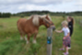 Beeldnr : 22 van 59
Naam : jj8b4312.jpg
Folder : fotos/jaren-201x/2019-2/denemarken/11-aug/
Formaat : 1200 x 800px
Thumb : 120 x 80px
Richting : Landschap
Bloknr : 1 van 2
Beeldnrs : 1 tm 50
Beelden in blok : 50