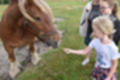Beeldnr : 32 van 59
Naam : jj8b4328.jpg
Folder : fotos/jaren-201x/2019-2/denemarken/11-aug/
Formaat : 1200 x 800px
Thumb : 120 x 80px
Richting : Landschap
Bloknr : 1 van 2
Beeldnrs : 1 tm 50
Beelden in blok : 50