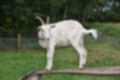 Beeldnr : 35 van 59
Naam : jj8b4334.jpg
Folder : fotos/jaren-201x/2019-2/denemarken/11-aug/
Formaat : 1200 x 800px
Thumb : 120 x 80px
Richting : Landschap
Bloknr : 1 van 2
Beeldnrs : 1 tm 50
Beelden in blok : 50