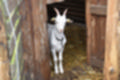 Beeldnr : 36 van 59
Naam : jj8b4336.jpg
Folder : fotos/jaren-201x/2019-2/denemarken/11-aug/
Formaat : 1200 x 800px
Thumb : 120 x 80px
Richting : Landschap
Bloknr : 1 van 2
Beeldnrs : 1 tm 50
Beelden in blok : 50