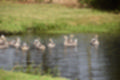 Beeldnr : 44 van 59
Naam : jj8b4362.jpg
Folder : fotos/jaren-201x/2019-2/denemarken/11-aug/
Formaat : 1200 x 800px
Thumb : 120 x 80px
Richting : Landschap
Bloknr : 1 van 2
Beeldnrs : 1 tm 50
Beelden in blok : 50