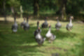 Beeldnr : 46 van 59
Naam : jj8b4364.jpg
Folder : fotos/jaren-201x/2019-2/denemarken/11-aug/
Formaat : 1200 x 800px
Thumb : 120 x 80px
Richting : Landschap
Bloknr : 1 van 2
Beeldnrs : 1 tm 50
Beelden in blok : 50