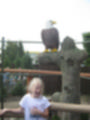 Beeldnr : 15 van 30
Naam : aj8c2527.jpg
Folder : fotos/jaren-201x/2019-2/denemarken/12-aug/
Formaat : 900 x 1200px
Thumb : 90 x 120px
Richting : Portret
Bloknr : 1 van 1
Beeldnrs : 1 tm 30
Beelden in blok : 30