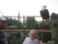 Beeldnr : 16 van 30
Naam : aj8c2528.jpg
Folder : fotos/jaren-201x/2019-2/denemarken/12-aug/
Formaat : 1200 x 900px
Thumb : 120 x 90px
Richting : Landschap
Bloknr : 1 van 1
Beeldnrs : 1 tm 30
Beelden in blok : 30