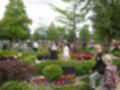 Beeldnr : 11 van 272
Naam : aj8d2561.jpg
Folder : fotos/jaren-201x/2019-2/denemarken/13-aug/
Formaat : 1200 x 900px
Thumb : 120 x 90px
Richting : Landschap
Bloknr : 1 van 6
Beeldnrs : 1 tm 50
Beelden in blok : 50