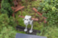 Beeldnr : 80 van 272
Naam : jj8d4494.jpg
Folder : fotos/jaren-201x/2019-2/denemarken/13-aug/
Formaat : 1200 x 800px
Thumb : 120 x 80px
Richting : Landschap
Bloknr : 2 van 6
Beeldnrs : 51 tm 100
Beelden in blok : 50