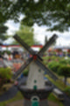 Beeldnr : 204 van 272
Naam : jj8d4643.jpg
Folder : fotos/jaren-201x/2019-2/denemarken/13-aug/
Formaat : 800 x 1200px
Thumb : 80 x 120px
Richting : Portret
Bloknr : 5 van 6
Beeldnrs : 201 tm 250
Beelden in blok : 50