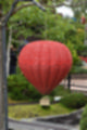 Beeldnr : 216 van 272
Naam : jj8d4655.jpg
Folder : fotos/jaren-201x/2019-2/denemarken/13-aug/
Formaat : 800 x 1200px
Thumb : 80 x 120px
Richting : Portret
Bloknr : 5 van 6
Beeldnrs : 201 tm 250
Beelden in blok : 50