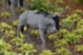 Beeldnr : 248 van 272
Naam : jj8d4689.jpg
Folder : fotos/jaren-201x/2019-2/denemarken/13-aug/
Formaat : 1200 x 800px
Thumb : 120 x 80px
Richting : Landschap
Bloknr : 5 van 6
Beeldnrs : 201 tm 250
Beelden in blok : 50