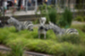 Beeldnr : 250 van 272
Naam : jj8d4692.jpg
Folder : fotos/jaren-201x/2019-2/denemarken/13-aug/
Formaat : 1200 x 800px
Thumb : 120 x 80px
Richting : Landschap
Bloknr : 5 van 6
Beeldnrs : 201 tm 250
Beelden in blok : 50