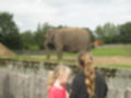 Beeldnr : 18 van 231
Naam : aj8g2602.jpg
Folder : fotos/jaren-201x/2019-2/denemarken/16-aug/
Formaat : 1200 x 900px
Thumb : 120 x 90px
Richting : Landschap
Bloknr : 1 van 5
Beeldnrs : 1 tm 50
Beelden in blok : 50