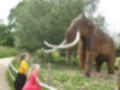 Beeldnr : 20 van 231
Naam : aj8g2604.jpg
Folder : fotos/jaren-201x/2019-2/denemarken/16-aug/
Formaat : 1200 x 900px
Thumb : 120 x 90px
Richting : Landschap
Bloknr : 1 van 5
Beeldnrs : 1 tm 50
Beelden in blok : 50