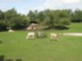Beeldnr : 22 van 231
Naam : aj8g2606.jpg
Folder : fotos/jaren-201x/2019-2/denemarken/16-aug/
Formaat : 1200 x 900px
Thumb : 120 x 90px
Richting : Landschap
Bloknr : 1 van 5
Beeldnrs : 1 tm 50
Beelden in blok : 50