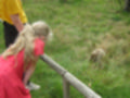 Beeldnr : 24 van 231
Naam : aj8g2608.jpg
Folder : fotos/jaren-201x/2019-2/denemarken/16-aug/
Formaat : 1200 x 900px
Thumb : 120 x 90px
Richting : Landschap
Bloknr : 1 van 5
Beeldnrs : 1 tm 50
Beelden in blok : 50