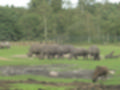 Beeldnr : 29 van 231
Naam : aj8g2613.jpg
Folder : fotos/jaren-201x/2019-2/denemarken/16-aug/
Formaat : 1200 x 900px
Thumb : 120 x 90px
Richting : Landschap
Bloknr : 1 van 5
Beeldnrs : 1 tm 50
Beelden in blok : 50