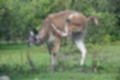 Beeldnr : 34 van 231
Naam : jj8g4766.jpg
Folder : fotos/jaren-201x/2019-2/denemarken/16-aug/
Formaat : 1200 x 800px
Thumb : 120 x 80px
Richting : Landschap
Bloknr : 1 van 5
Beeldnrs : 1 tm 50
Beelden in blok : 50