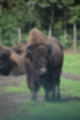 Beeldnr : 39 van 231
Naam : jj8g4780.jpg
Folder : fotos/jaren-201x/2019-2/denemarken/16-aug/
Formaat : 800 x 1200px
Thumb : 80 x 120px
Richting : Portret
Bloknr : 1 van 5
Beeldnrs : 1 tm 50
Beelden in blok : 50