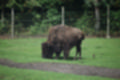 Beeldnr : 40 van 231
Naam : jj8g4784.jpg
Folder : fotos/jaren-201x/2019-2/denemarken/16-aug/
Formaat : 1200 x 800px
Thumb : 120 x 80px
Richting : Landschap
Bloknr : 1 van 5
Beeldnrs : 1 tm 50
Beelden in blok : 50