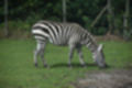 Beeldnr : 45 van 231
Naam : jj8g4796.jpg
Folder : fotos/jaren-201x/2019-2/denemarken/16-aug/
Formaat : 1200 x 800px
Thumb : 120 x 80px
Richting : Landschap
Bloknr : 1 van 5
Beeldnrs : 1 tm 50
Beelden in blok : 50