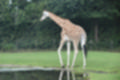 Beeldnr : 46 van 231
Naam : jj8g4799.jpg
Folder : fotos/jaren-201x/2019-2/denemarken/16-aug/
Formaat : 1200 x 800px
Thumb : 120 x 80px
Richting : Landschap
Bloknr : 1 van 5
Beeldnrs : 1 tm 50
Beelden in blok : 50