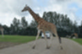 Beeldnr : 50 van 231
Naam : jj8g4816.jpg
Folder : fotos/jaren-201x/2019-2/denemarken/16-aug/
Formaat : 1200 x 800px
Thumb : 120 x 80px
Richting : Landschap
Bloknr : 1 van 5
Beeldnrs : 1 tm 50
Beelden in blok : 50