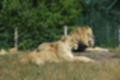 Beeldnr : 60 van 231
Naam : jj8g4844.jpg
Folder : fotos/jaren-201x/2019-2/denemarken/16-aug/
Formaat : 1200 x 800px
Thumb : 120 x 80px
Richting : Landschap
Bloknr : 2 van 5
Beeldnrs : 51 tm 100
Beelden in blok : 50