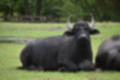 Beeldnr : 68 van 231
Naam : jj8g4855.jpg
Folder : fotos/jaren-201x/2019-2/denemarken/16-aug/
Formaat : 1200 x 800px
Thumb : 120 x 80px
Richting : Landschap
Bloknr : 2 van 5
Beeldnrs : 51 tm 100
Beelden in blok : 50