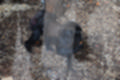 Beeldnr : 70 van 231
Naam : jj8g4859.jpg
Folder : fotos/jaren-201x/2019-2/denemarken/16-aug/
Formaat : 1200 x 800px
Thumb : 120 x 80px
Richting : Landschap
Bloknr : 2 van 5
Beeldnrs : 51 tm 100
Beelden in blok : 50