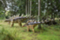 Beeldnr : 81 van 231
Naam : jj8g4878.jpg
Folder : fotos/jaren-201x/2019-2/denemarken/16-aug/
Formaat : 1200 x 800px
Thumb : 120 x 80px
Richting : Landschap
Bloknr : 2 van 5
Beeldnrs : 51 tm 100
Beelden in blok : 50