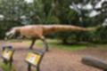 Beeldnr : 82 van 231
Naam : jj8g4880.jpg
Folder : fotos/jaren-201x/2019-2/denemarken/16-aug/
Formaat : 1200 x 800px
Thumb : 120 x 80px
Richting : Landschap
Bloknr : 2 van 5
Beeldnrs : 51 tm 100
Beelden in blok : 50