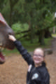 Beeldnr : 85 van 231
Naam : jj8g4884.jpg
Folder : fotos/jaren-201x/2019-2/denemarken/16-aug/
Formaat : 800 x 1200px
Thumb : 80 x 120px
Richting : Portret
Bloknr : 2 van 5
Beeldnrs : 51 tm 100
Beelden in blok : 50