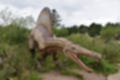 Beeldnr : 100 van 231
Naam : jj8g4906.jpg
Folder : fotos/jaren-201x/2019-2/denemarken/16-aug/
Formaat : 1200 x 800px
Thumb : 120 x 80px
Richting : Landschap
Bloknr : 2 van 5
Beeldnrs : 51 tm 100
Beelden in blok : 50