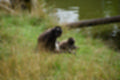 Beeldnr : 129 van 231
Naam : jj8g4948.jpg
Folder : fotos/jaren-201x/2019-2/denemarken/16-aug/
Formaat : 1200 x 800px
Thumb : 120 x 80px
Richting : Landschap
Bloknr : 3 van 5
Beeldnrs : 101 tm 150
Beelden in blok : 50