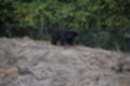 Beeldnr : 135 van 231
Naam : jj8g4970.jpg
Folder : fotos/jaren-201x/2019-2/denemarken/16-aug/
Formaat : 1200 x 800px
Thumb : 120 x 80px
Richting : Landschap
Bloknr : 3 van 5
Beeldnrs : 101 tm 150
Beelden in blok : 50
