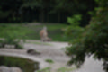 Beeldnr : 136 van 231
Naam : jj8g4971.jpg
Folder : fotos/jaren-201x/2019-2/denemarken/16-aug/
Formaat : 1200 x 800px
Thumb : 120 x 80px
Richting : Landschap
Bloknr : 3 van 5
Beeldnrs : 101 tm 150
Beelden in blok : 50