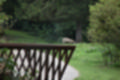 Beeldnr : 137 van 231
Naam : jj8g4972.jpg
Folder : fotos/jaren-201x/2019-2/denemarken/16-aug/
Formaat : 1200 x 800px
Thumb : 120 x 80px
Richting : Landschap
Bloknr : 3 van 5
Beeldnrs : 101 tm 150
Beelden in blok : 50