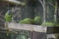 Beeldnr : 140 van 231
Naam : jj8g4976.jpg
Folder : fotos/jaren-201x/2019-2/denemarken/16-aug/
Formaat : 1200 x 800px
Thumb : 120 x 80px
Richting : Landschap
Bloknr : 3 van 5
Beeldnrs : 101 tm 150
Beelden in blok : 50