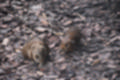 Beeldnr : 141 van 231
Naam : jj8g4978.jpg
Folder : fotos/jaren-201x/2019-2/denemarken/16-aug/
Formaat : 1200 x 800px
Thumb : 120 x 80px
Richting : Landschap
Bloknr : 3 van 5
Beeldnrs : 101 tm 150
Beelden in blok : 50
