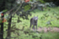Beeldnr : 142 van 231
Naam : jj8g4983.jpg
Folder : fotos/jaren-201x/2019-2/denemarken/16-aug/
Formaat : 1200 x 800px
Thumb : 120 x 80px
Richting : Landschap
Bloknr : 3 van 5
Beeldnrs : 101 tm 150
Beelden in blok : 50