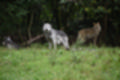 Beeldnr : 143 van 231
Naam : jj8g4987.jpg
Folder : fotos/jaren-201x/2019-2/denemarken/16-aug/
Formaat : 1200 x 800px
Thumb : 120 x 80px
Richting : Landschap
Bloknr : 3 van 5
Beeldnrs : 101 tm 150
Beelden in blok : 50