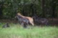 Beeldnr : 144 van 231
Naam : jj8g4990.jpg
Folder : fotos/jaren-201x/2019-2/denemarken/16-aug/
Formaat : 1200 x 800px
Thumb : 120 x 80px
Richting : Landschap
Bloknr : 3 van 5
Beeldnrs : 101 tm 150
Beelden in blok : 50