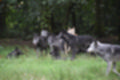 Beeldnr : 145 van 231
Naam : jj8g4991.jpg
Folder : fotos/jaren-201x/2019-2/denemarken/16-aug/
Formaat : 1200 x 800px
Thumb : 120 x 80px
Richting : Landschap
Bloknr : 3 van 5
Beeldnrs : 101 tm 150
Beelden in blok : 50